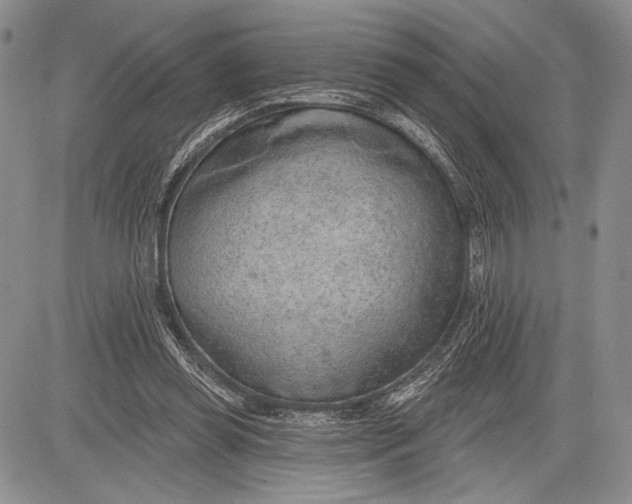 X0000081560349200702051155