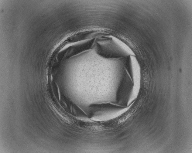 X0000081560350200702051155