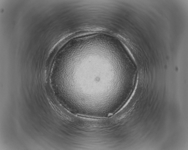 X0000081560351200702051155