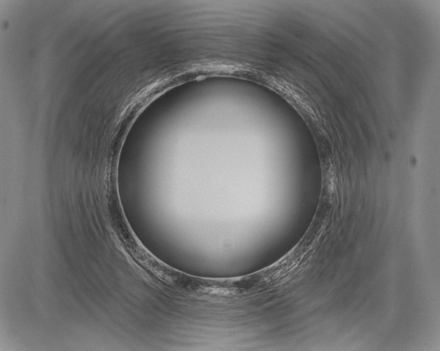 X0000081560352200702051155