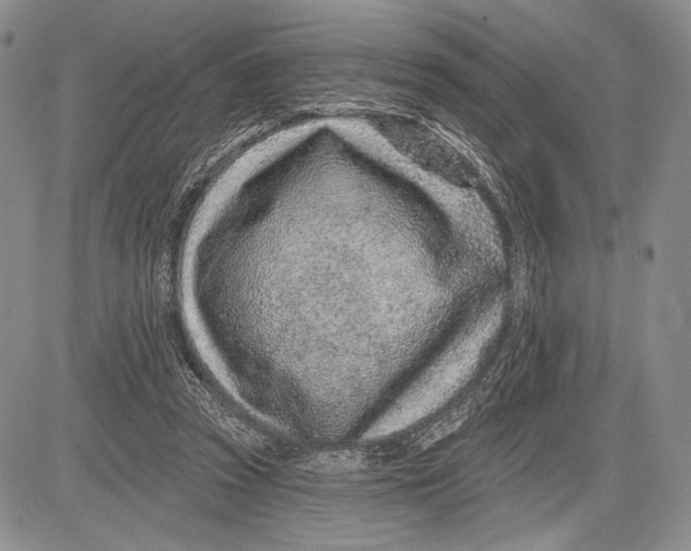 X0000081560353200702051155