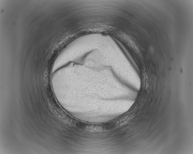 X0000081560354200702051155