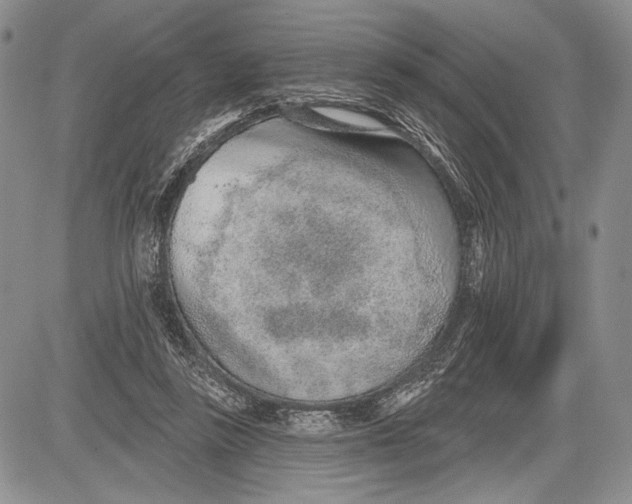 X0000081560355200702051155