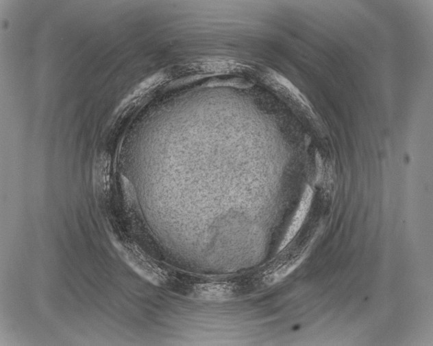 X0000081560356200702051155