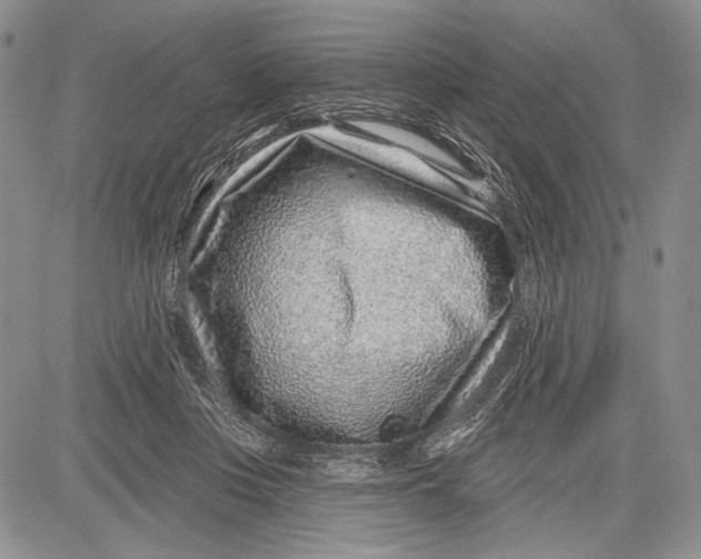 X0000081560359200702051155