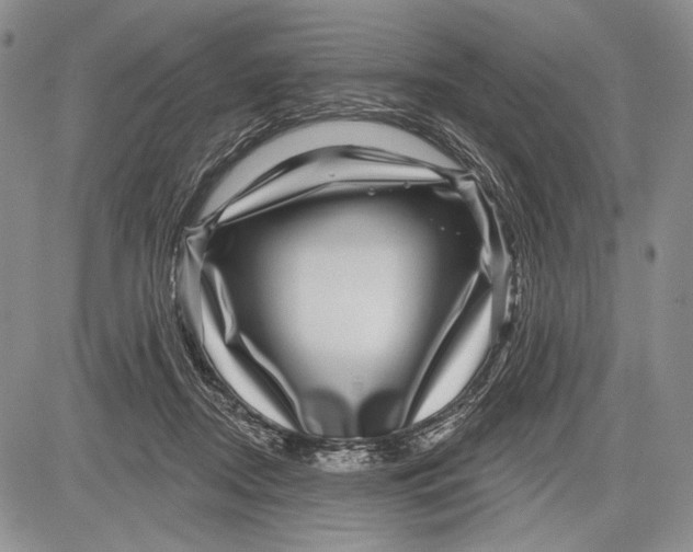 X0000081560362200702051155