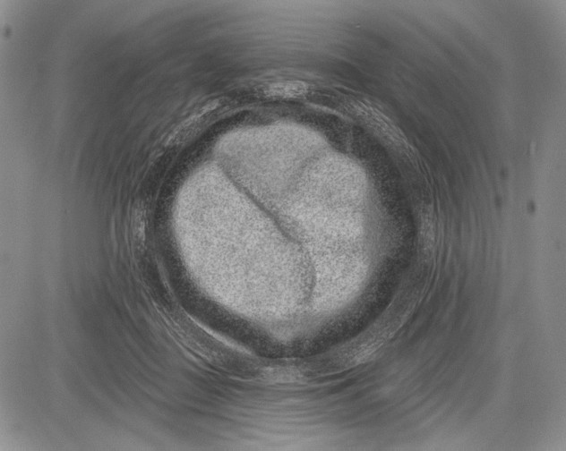 X0000081560363200702051155