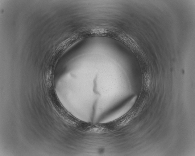 X0000081560364200702051155