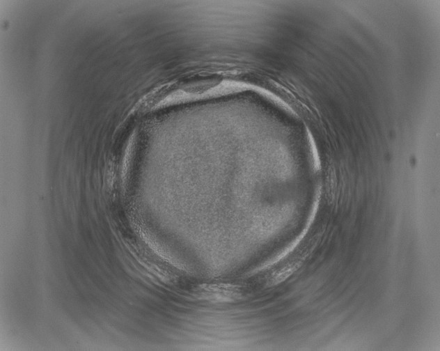 X0000081560367200702051155