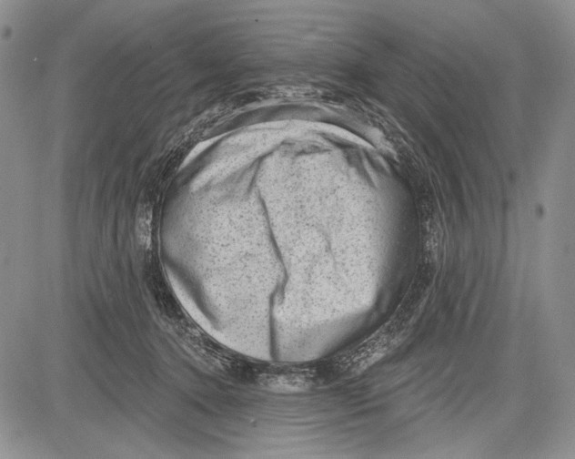 X0000081560368200702051155