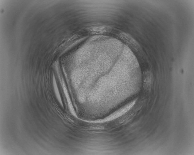 X0000081560369200702051155