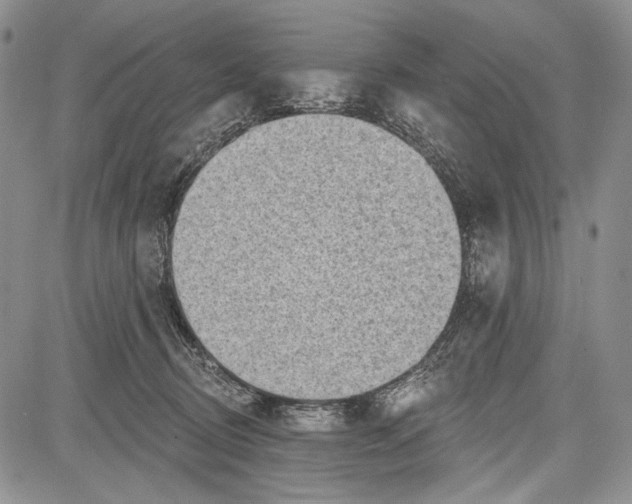 X0000081560370200702051155