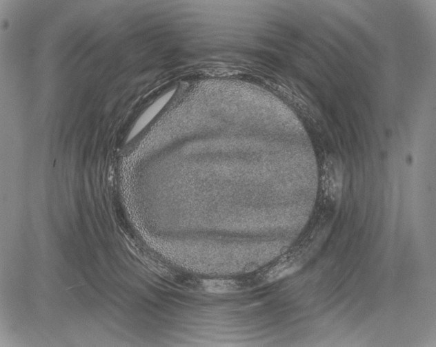 X0000081560371200702051155