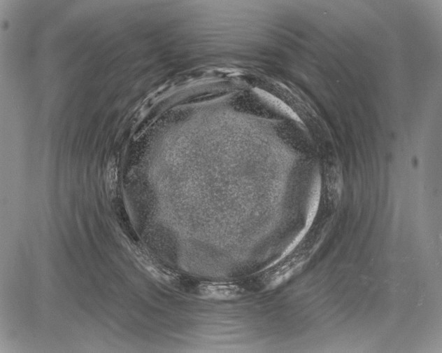 X0000081560372200702051155