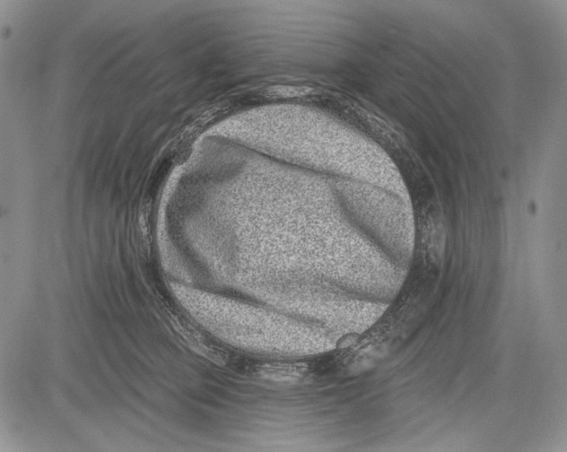 X0000081560373200702051155