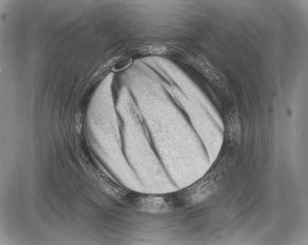 X0000081560374200702051155