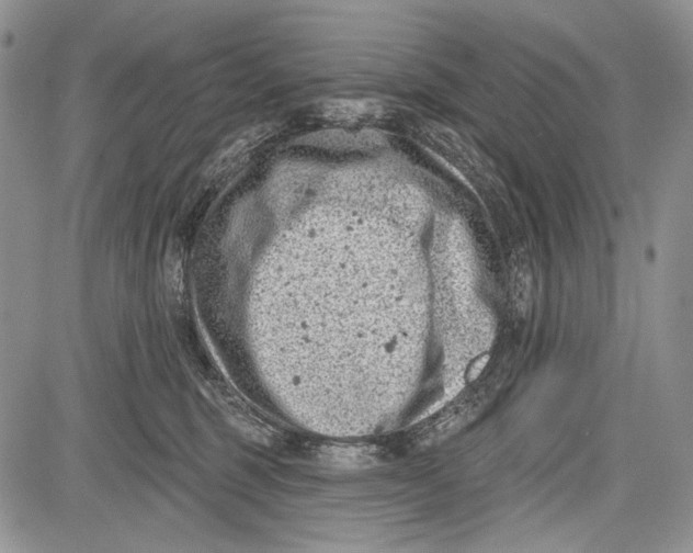 X0000081560375200702051155