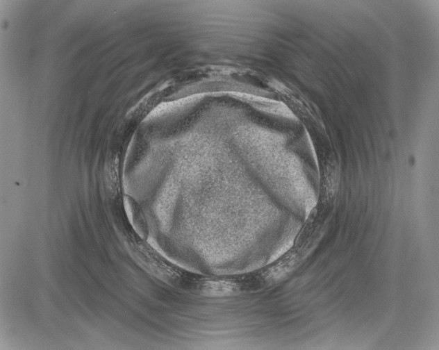 X0000081560376200702051155