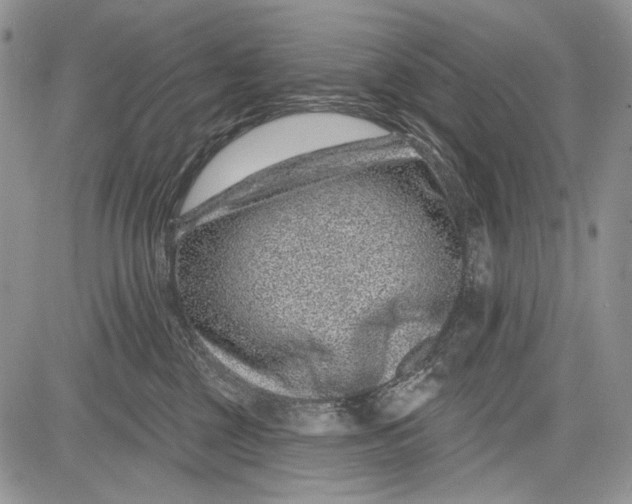 X0000081560377200702051155