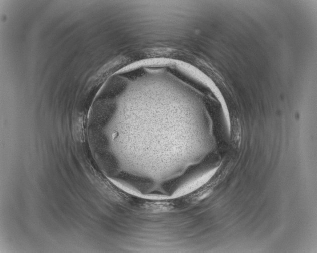 X0000081560378200702051155