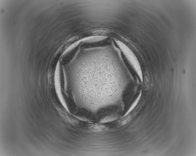 X0000081560379200702051155