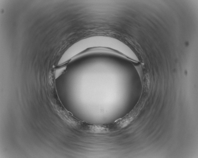 X0000081560380200702051155