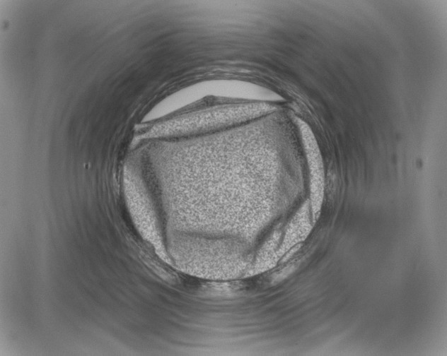 X0000081560381200702051155