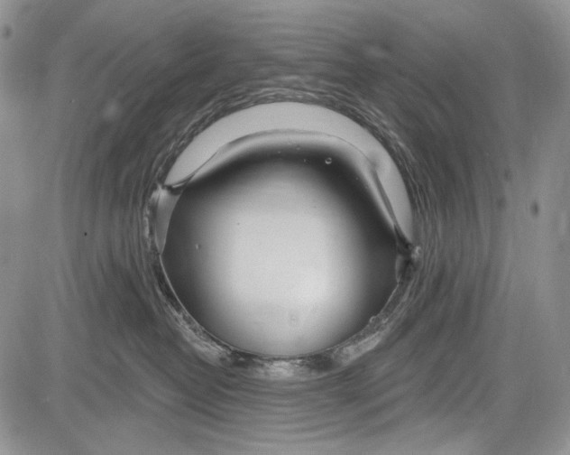 X0000081560382200702051155