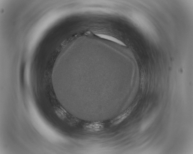 X0000081560383200702051155