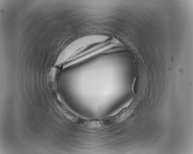 X0000081560384200702051155