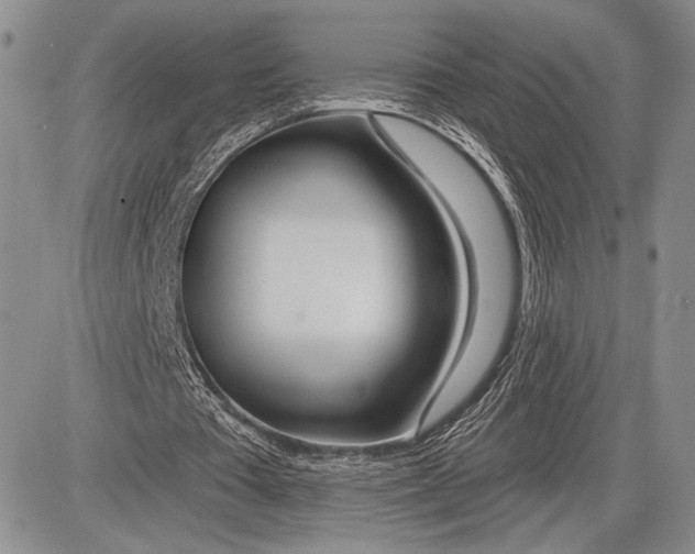 X0000081560385200702051154