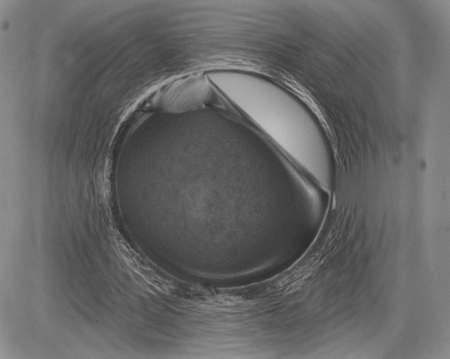 X0000081560387200702051154