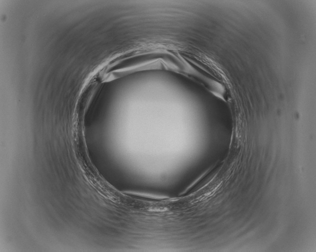 X0000081560388200702051154