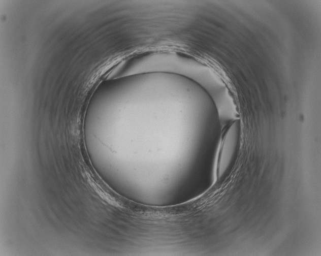 X0000081560389200702051154