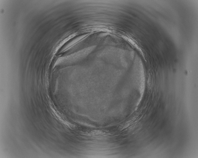 X0000081560390200702051154