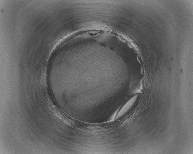 X0000081560391200702051154