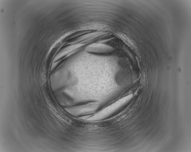 X0000081560392200702051154