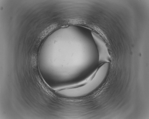 X0000081560393200702051154