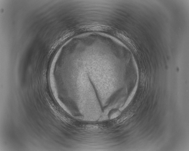 X0000081560394200702051154