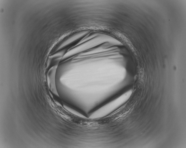 X0000081560395200702051154