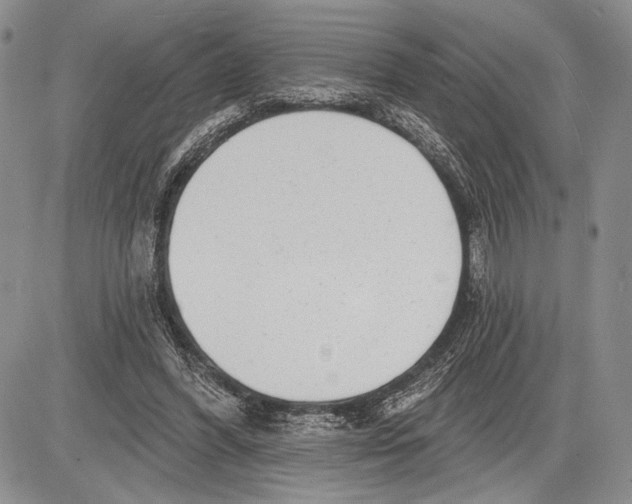 X0000081560396200702051154