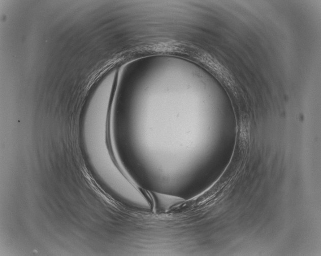 X0000081560397200702051154