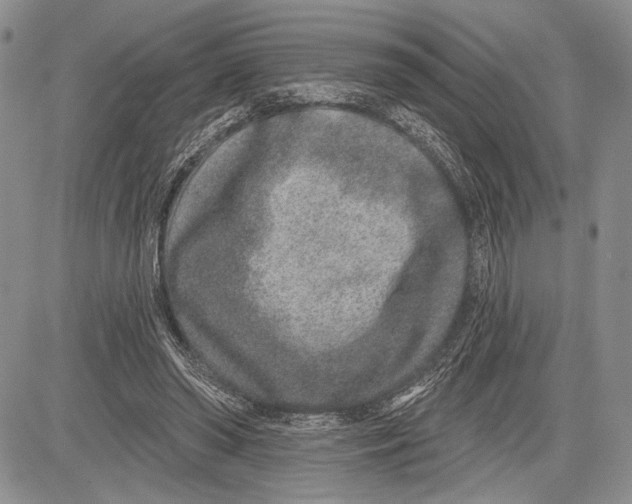 X0000081560398200702051154