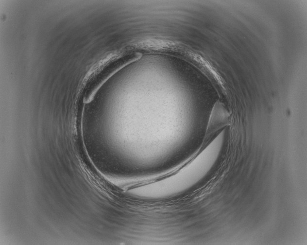 X0000081560399200702051154