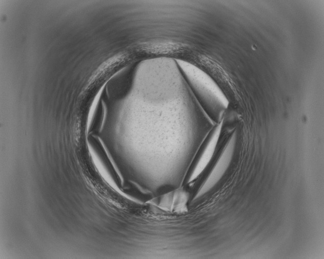 X0000081560400200702051154