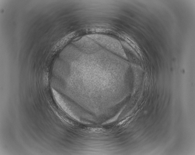 X0000081560401200702051154