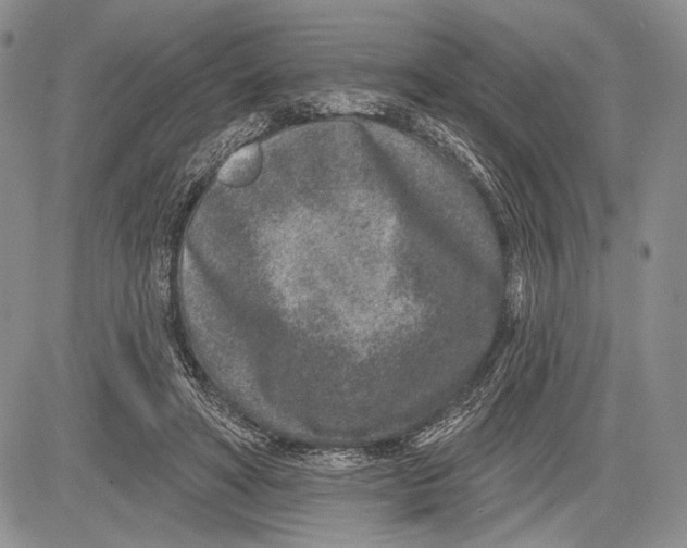 X0000081560402200702051154