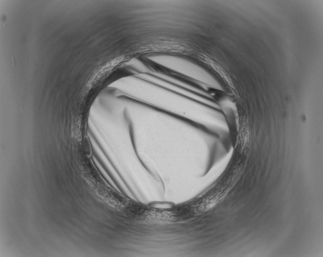 X0000081560403200702051154