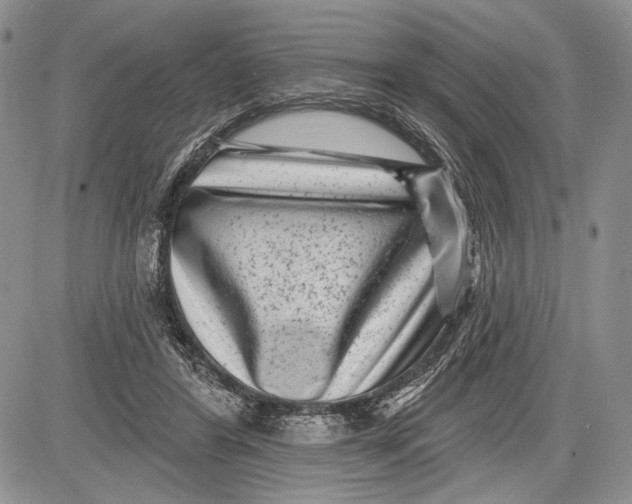 X0000081560404200702051154