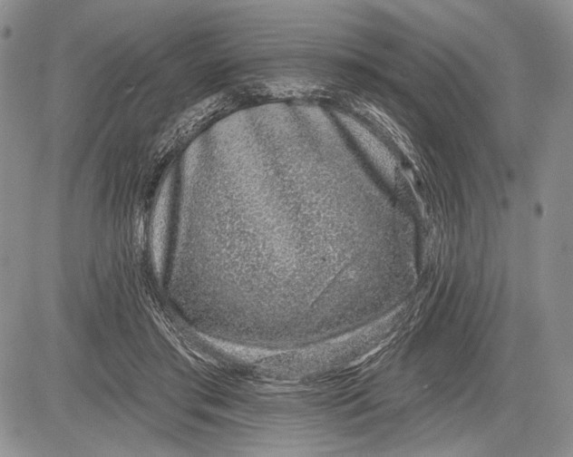 X0000081560405200702051154